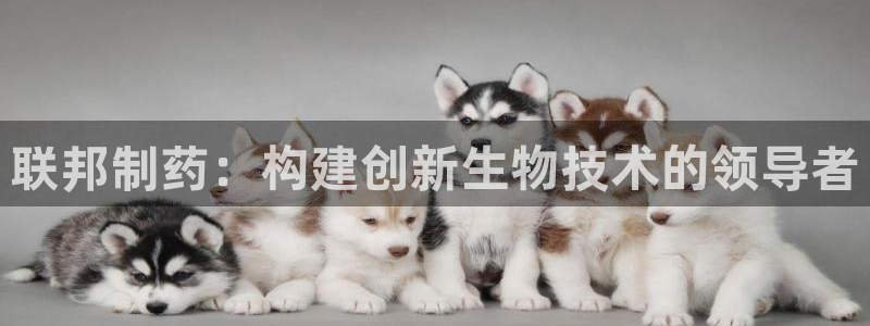 9游会老哥俱乐部:联邦制药:构建创新生物技术的领导者