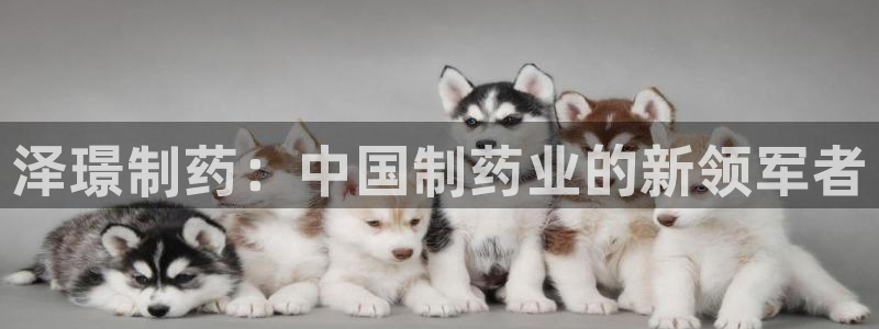 九游会老哥俱乐部官网:泽璟制药:中国制药业的新领军者